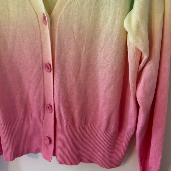 Crown & Ivory NWT Rainbow Ombre Cardigan Pastel Long Sleeve New With Tags Large - Picture 2 of 9